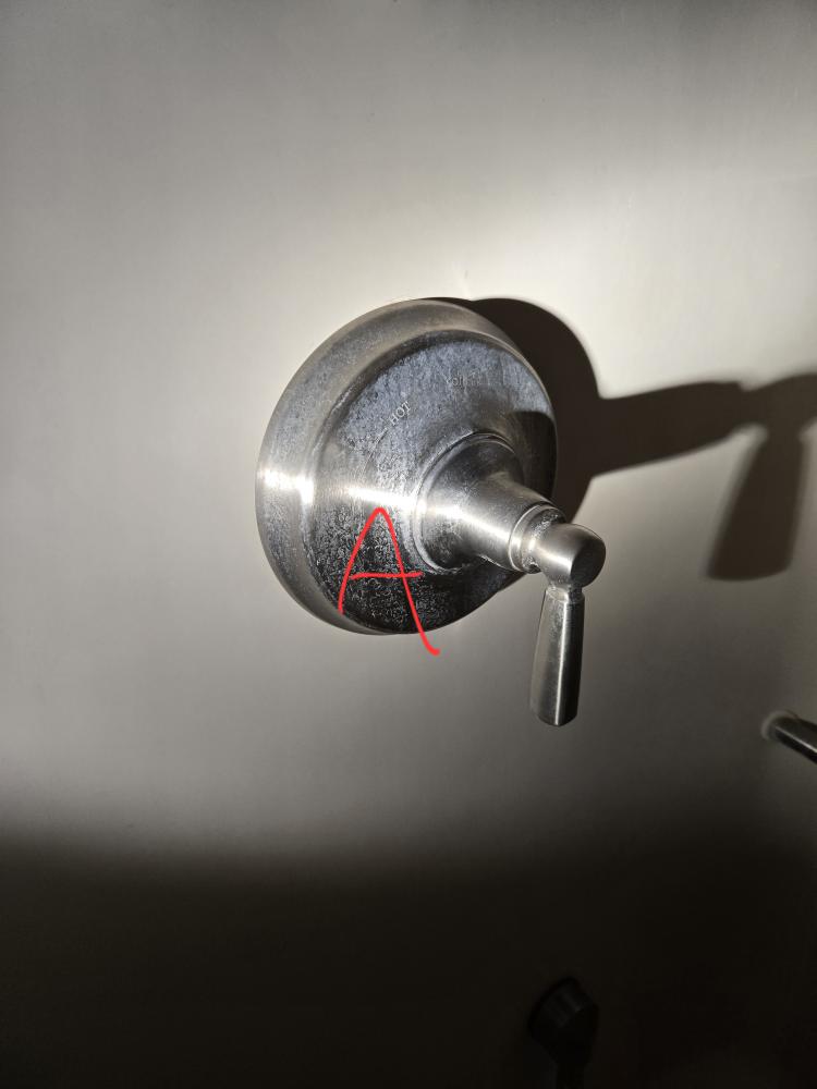 Replace toilet. Cutout old iron flange and add stainless steel flange. Replace Kohler canister gasket. Measure shower for replacement.