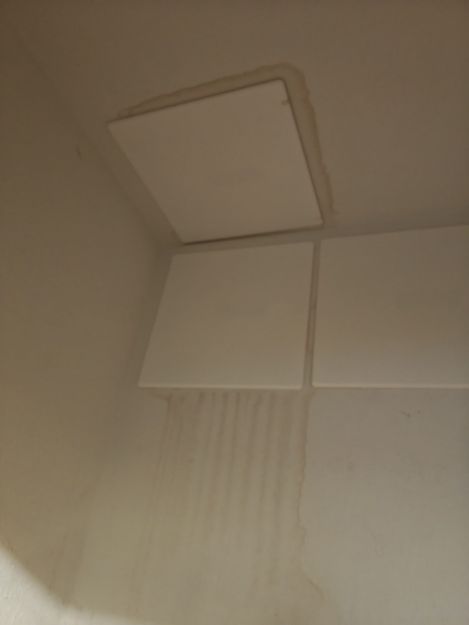 Repair piping in closet that rodents chewed. Replace 2 valves under sink. We will quote to repair main shutoff valve and replace the hot and cold manifolds. 