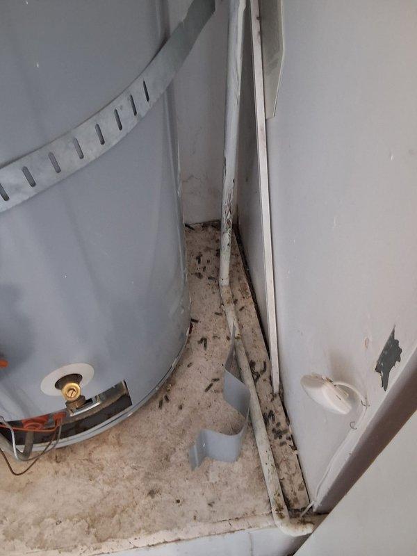 Responded to service call for 21-year-old State Select water heater (Model S650YOCTG) with non-functioning ignition switch. Performed comprehensive inspection of unit and surrounding installation area, documenting existing conditions including gas connections, temperature controls, gas control valve assembly, and discharge piping. Assessed current code compliance status and identified potential code modifications that would be required for replacement installation. Provided estimate for replacement with new 50-gallon atmospheric vent water heater (Model GN50T1-3-6), including options for extended warranty and permit acquisition. Discussed available payment methods and scheduled follow-up for installation pending customer approval.