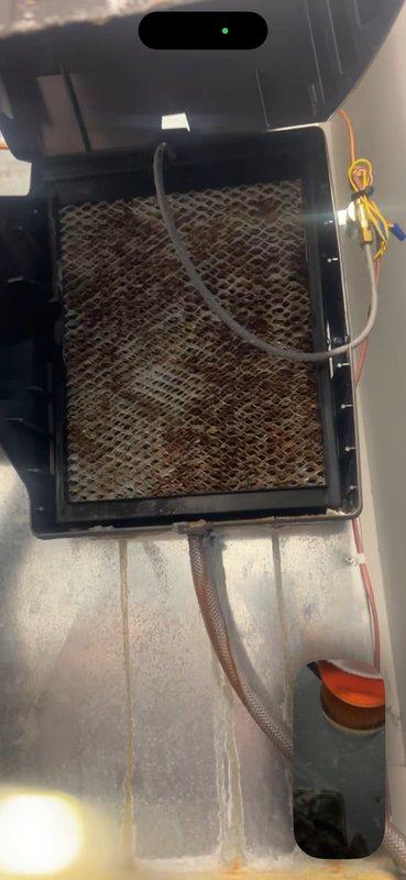 Replaced corroded humidifier water panel and installed new drain hose on Carrier humidifier system. Verified proper humidifier operation when main water supply is off and assessed need for pre-filter on supply line. Applied company identification sticker to furnace unit for new homeowner reference.