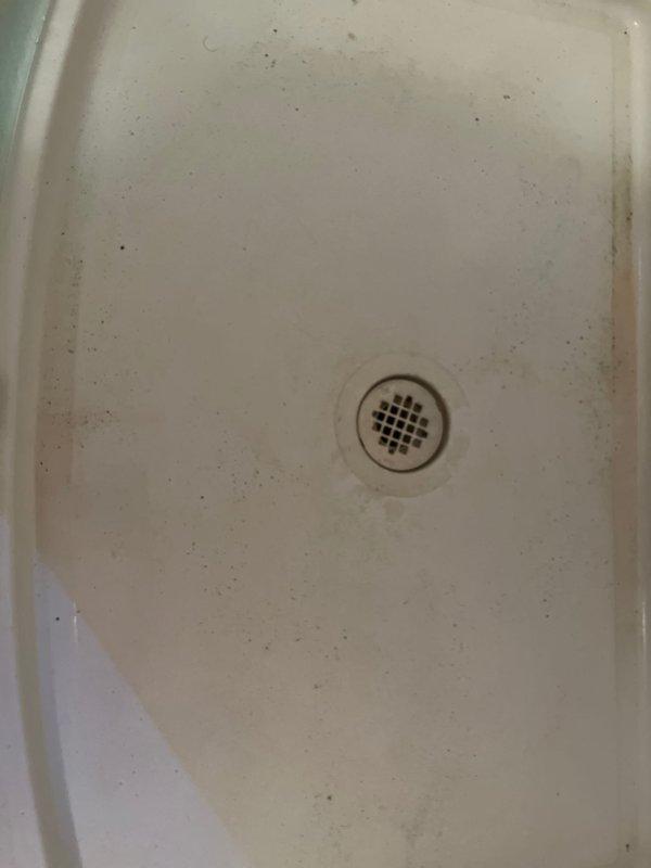 Responded to no-water issue in shower following seasonal water turn-on. Diagnosed faulty shower valve cartridge with significant mineral buildup and deteriorated internal seals preventing water flow. Removed and replaced worn cartridge, restoring full water pressure and functionality to the shower fixture.