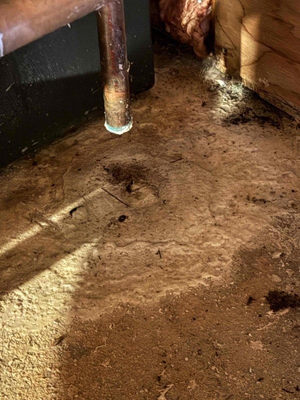 Responded to emergency no hot water call for five-year-old water heater. Upon inspection, discovered severe corrosion on copper piping in crawl space with greenish-blue oxidation at base connections. Assessed water heater system and surrounding plumbing infrastructure. Documented conditions including corroded copper supply lines and crawl space environment. Restored hot water service to residence.