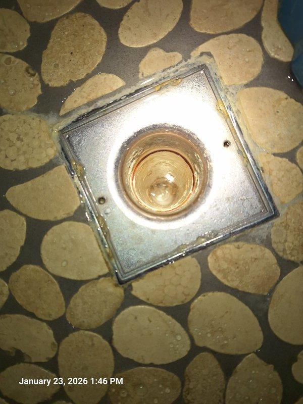 Inspected shower drain system in pebble-tile bathroom floor due to reported drainage issues. Documented condition of square metal drain plate showing significant wear and discoloration. After service, confirmed proper drain function with water flowing freely through the brass/copper drain assembly. Inspected shower drain system in pebble-tile bathroom floor due to reported drainage issues. Documented condition of square metal drain plate showing significant wear and discoloration. After service, confirmed proper drain function with water flowing freely through the brass/copper drain assembly.