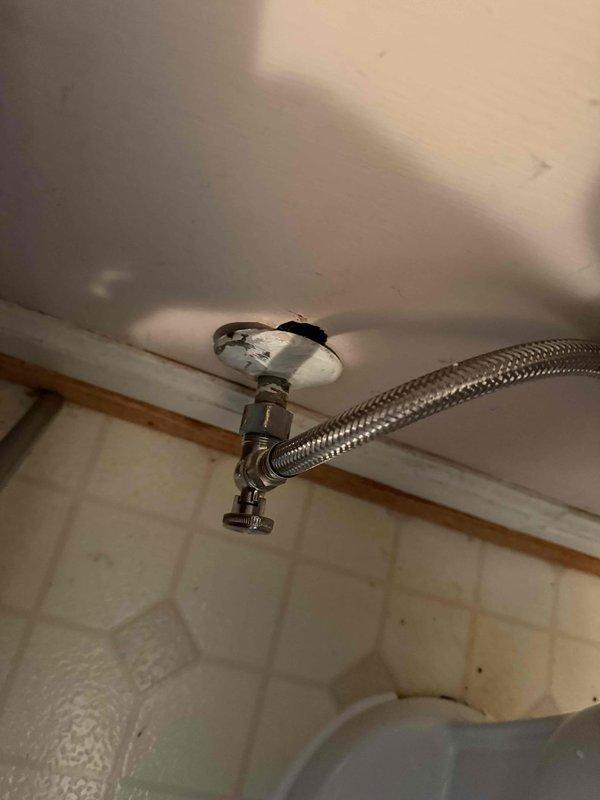 Successfully installed two toilets for customer - one in master en suite and one in downstairs half-bath. Replaced broken valve and connected new fixtures to existing plumbing with stainless steel supply lines. Verified proper water flow and confirmed no leaks at connection points after installation. Successfully installed two toilets for customer - one in master en suite and one in downstairs half-bath. Replaced broken valve and connected new fixtures to existing plumbing with stainless steel supply lines. Verified proper water flow and confirmed no leaks at connection points after installation.