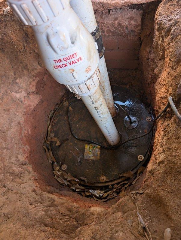 Inspected sewage ejection pump system, focusing on check valve installation and underground plumbing components. Found organic debris accumulation affecting system performance; cleared material and verified proper operation of the pump assembly. Documented condition with photos for service record. Inspected sewage ejection pump system, focusing on check valve installation and underground plumbing components. Found organic debris accumulation affecting system performance; cleared material and verified proper operation of the pump assembly. Documented condition with photos for service record.