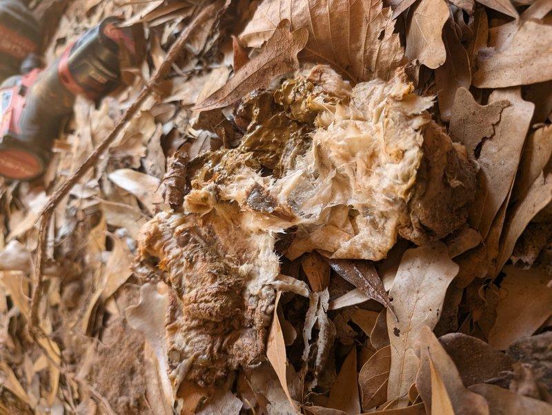 Inspected sewage ejection pump system, focusing on check valve installation and underground plumbing components. Found organic debris accumulation affecting system performance; cleared material and verified proper operation of the pump assembly. Documented condition with photos for service record. Inspected sewage ejection pump system, focusing on check valve installation and underground plumbing components. Found organic debris accumulation affecting system performance; cleared material and verified proper operation of the pump assembly. Documented condition with photos for service record.