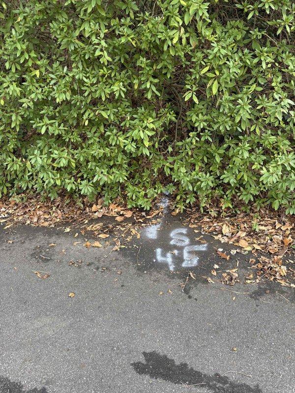 Responded to service call regarding sewage backup from property cleanout. Arrived on site with service vehicle and performed inspection, identifying drainage issue near marked utility area. Successfully cleared blockage, restoring proper drainage function and preventing further sewage overflow. Responded to service call regarding sewage backup from property cleanout. Arrived on site with service vehicle and performed inspection, identifying drainage issue near marked utility area. Successfully cleared blockage, restoring proper drainage function and preventing further sewage overflow.