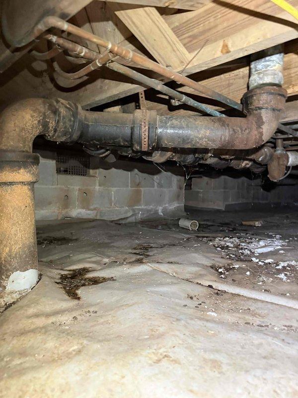 Completed estimate for replacement of aged cast iron plumbing system in crawl space. Inspection revealed corroded cast iron pipes with visible deterioration mounted along wooden joists. Recommended full cleanout and replacement with PVC piping system to prevent potential leaks and structural damage. Completed estimate for replacement of aged cast iron plumbing system in crawl space. Inspection revealed corroded cast iron pipes with visible deterioration mounted along wooden joists. Recommended full cleanout and replacement with PVC piping system to prevent potential leaks and structural damage.