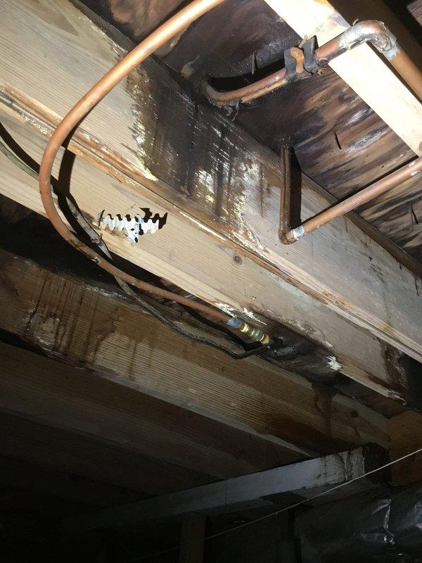 Discovered water leak originating from corroded copper pipe fitting in crawl space beneath kitchen. Inspection revealed significant moisture damage to wooden joists supporting the appliance area. Replaced damaged section of copper pipe and fitting, ensuring proper connection and pressure testing to confirm leak resolution. Discovered water leak originating from corroded copper pipe fitting in crawl space beneath kitchen. Inspection revealed significant moisture damage to wooden joists supporting the appliance area. Replaced damaged section of copper pipe and fitting, ensuring proper connection and pressure testing to confirm leak resolution.