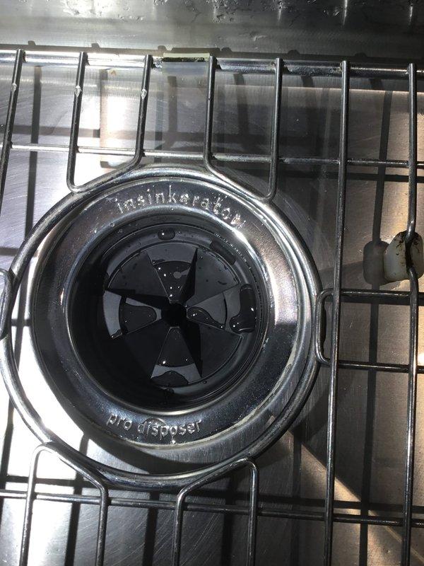 Replaced non-functioning InSinkErator garbage disposal with new Badger unit in stainless steel kitchen sink. Installation completed successfully with proper mounting and connections verified. Customer was provided information about additional filtration options for future consideration. Replaced non-functioning InSinkErator garbage disposal with new Badger unit in stainless steel kitchen sink. Installation completed successfully with proper mounting and connections verified. Customer was provided information about additional filtration options for future consideration.