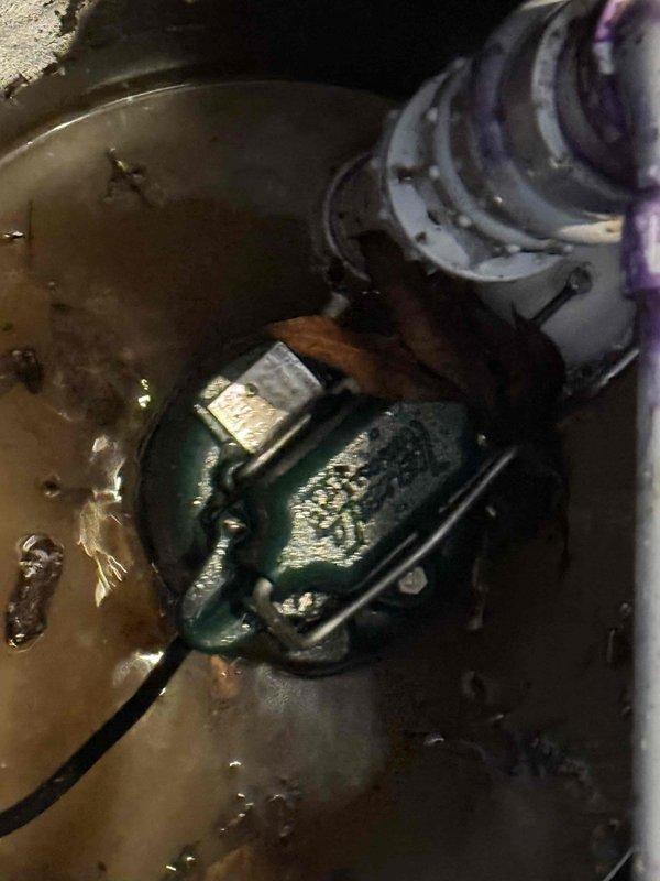 Diagnosed and serviced non-operational sump pump in basement basin. Found submersible pump partially submerged in murky water with excessive sediment buildup. Excavated surrounding area to access pump components, removed debris and root intrusions that were impeding proper function, and restored system to normal operation. Diagnosed and serviced non-operational sump pump in basement basin. Found submersible pump partially submerged in murky water with excessive sediment buildup. Excavated surrounding area to access pump components, removed debris and root intrusions that were impeding proper function, and restored system to normal operation.