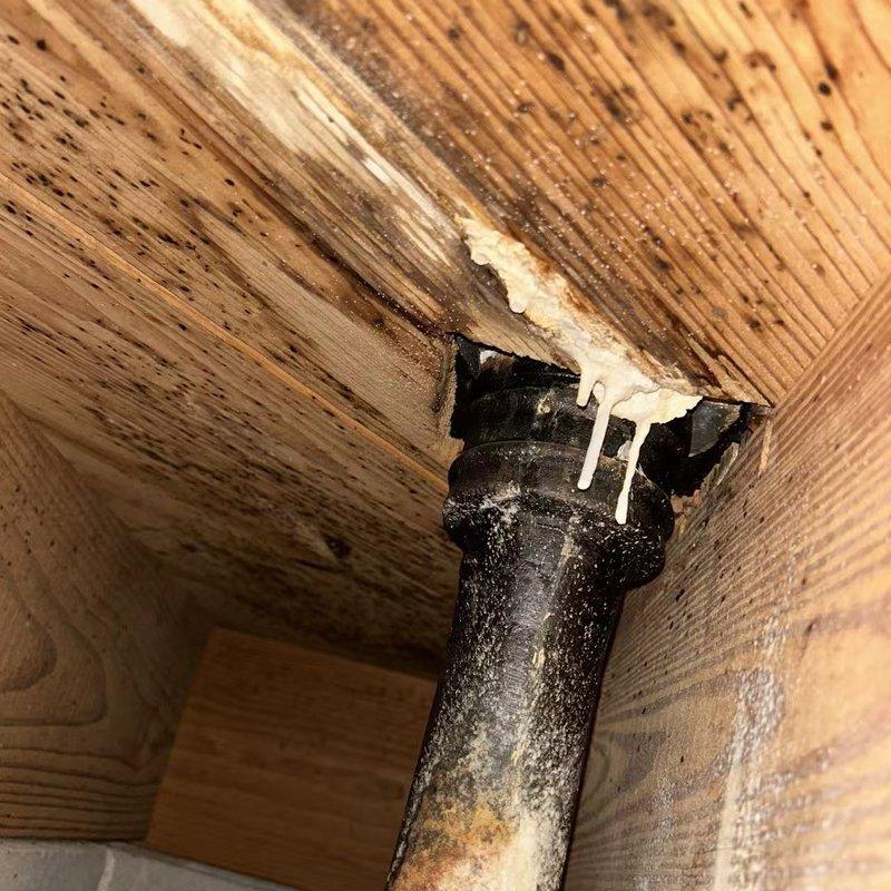 Responded to service call for a shower drain leak. Upon inspection, discovered deteriorated drain seal with significant corrosion and mineral buildup causing water to leak through to the basement. Observed water damage where the drain pipe penetrates the floor structure, with visible white mineral deposits tracking down the black PVC pipe below. Responded to service call for a shower drain leak. Upon inspection, discovered deteriorated drain seal with significant corrosion and mineral buildup causing water to leak through to the basement. Observed water damage where the drain pipe penetrates the floor structure, with visible white mineral deposits tracking down the black PVC pipe below.