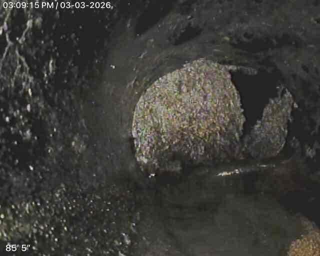 Responded to service call for toilet leaking at base with water backing up through shower drains. Camera inspection revealed significant clog at 85'5" in main sewer line with heavy mineral buildup and sediment accumulation. Drain cleaning performed to remove blockage and address extensive black mold growth around floor drain, resolving backup issues and preventing further water damage.