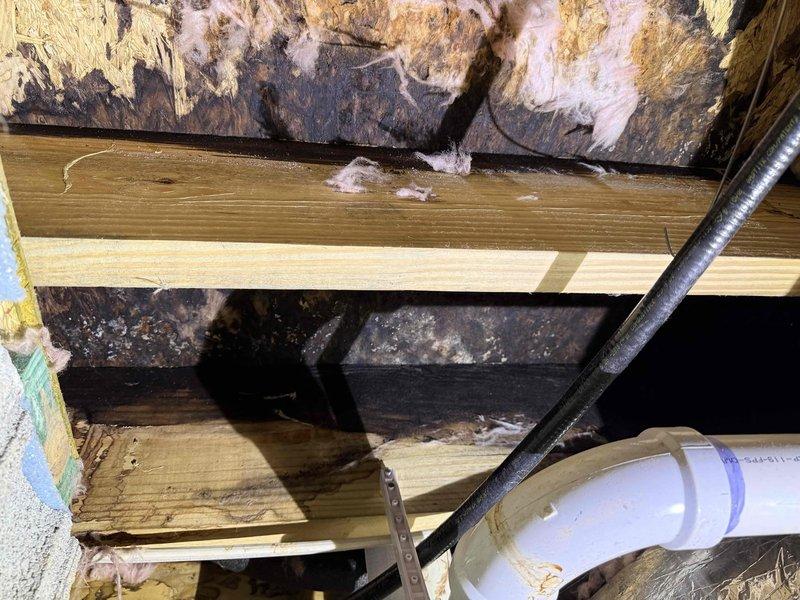 Responded to customer complaint of water leak in crawlspace. Inspection revealed damaged PVC pipe with significant water infiltration causing wood rot and potential mold growth on surrounding joists and structural elements. Repaired leaking pipe connection by replacing damaged section and ensuring proper sealing to prevent future moisture issues. Responded to customer complaint of water leak in crawlspace. Inspection revealed damaged PVC pipe with significant water infiltration causing wood rot and potential mold growth on surrounding joists and structural elements. Repaired leaking pipe connection by replacing damaged section and ensuring proper sealing to prevent future moisture issues.