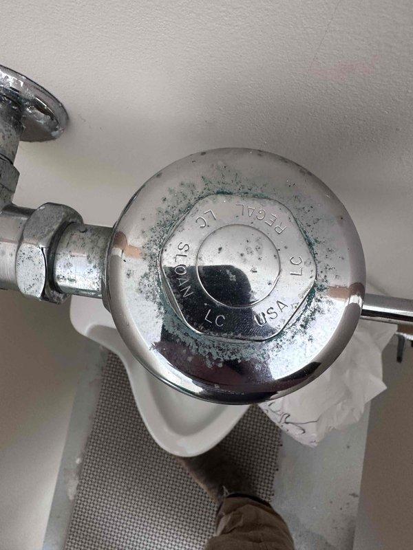 Responded to a leak complaint in pool house bathroom. Upon inspection, identified corroded Pfister shower valve escutcheon with visible green patina and deterioration around the wall connection point, indicating water intrusion behind the fixture. Documented existing conditions including aging chrome fixtures throughout the bathroom. Assessed toilet flush valve assembly which appeared functional but was photographed for reference as part of comprehensive plumbing inspection of the space. Responded to a leak complaint in pool house bathroom. Upon inspection, identified corroded Pfister shower valve escutcheon with visible green patina and deterioration around the wall connection point, indicating water intrusion behind the fixture. Documented existing conditions including aging chrome fixtures throughout the bathroom. Assessed toilet flush valve assembly which appeared functional but was photographed for reference as part of comprehensive plumbing inspection of the space.