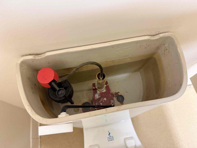Completed de-winterization of pool house bathroom and water heater system. Restored water supply to exterior hose bib and verified proper flow and functionality. Inspected and serviced toilet tank components, confirming fill valve and flapper mechanisms were operational following winter shutdown period. All plumbing fixtures tested and confirmed to be in working order with no leaks detected. Completed de-winterization of pool house bathroom and water heater system. Restored water supply to exterior hose bib and verified proper flow and functionality. Inspected and serviced toilet tank components, confirming fill valve and flapper mechanisms were operational following winter shutdown period. All plumbing fixtures tested and confirmed to be in working order with no leaks detected.