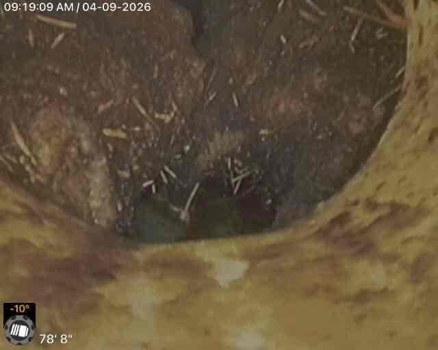 Performed sewer scope inspection on residential property where cleanout location was initially unknown. Upon locating access point, deployed inspection camera through the line to assess condition. Camera revealed significant debris accumulation including organic material, sediment buildup, and what appears to be root intrusion or vegetation matter within the pipe. Documented findings with timestamped images showing interior pipe conditions at multiple points along the inspection route. Performed sewer scope inspection on residential property where cleanout location was initially unknown. Upon locating access point, deployed inspection camera through the line to assess condition. Camera revealed significant debris accumulation including organic material, sediment buildup, and what appears to be root intrusion or vegetation matter within the pipe. Documented findings with timestamped images showing interior pipe conditions at multiple points along the inspection route.