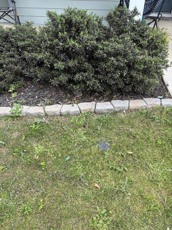 Performed sewer scope inspection on residential property utilizing existing exterior cleanout access point. Camera inspection completed through main sewer line to assess pipe condition, identify any blockages, and evaluate overall system integrity.