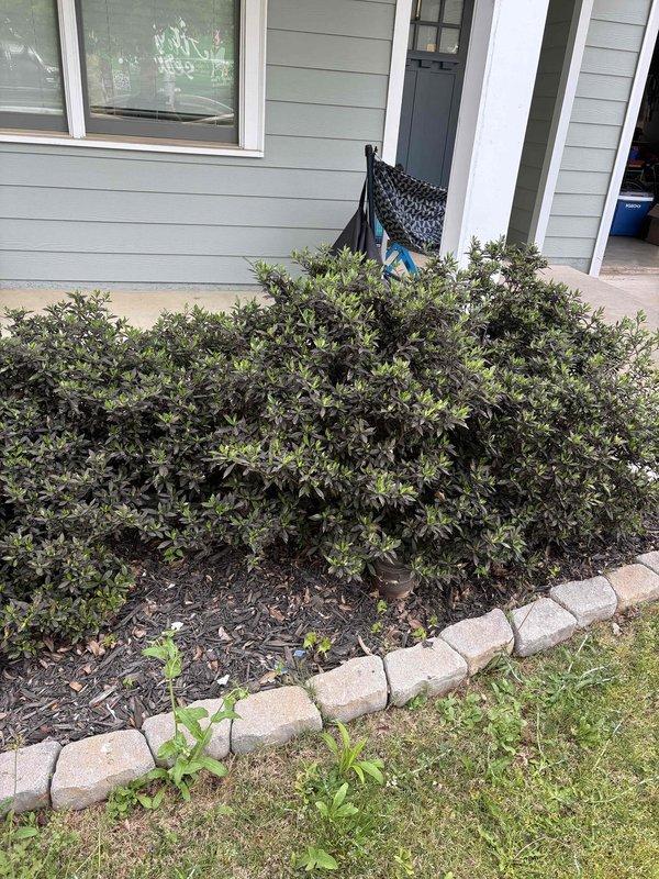 Performed sewer scope inspection on residential property utilizing existing exterior cleanout access point. Camera inspection completed through main sewer line to assess pipe condition, identify any blockages, and evaluate overall system integrity.