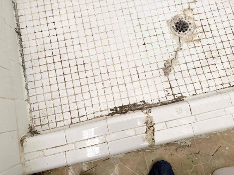 Responded to service call for slow drainage in shower. Upon inspection, located and cleared blockage in shower drain assembly. Removed debris and buildup from drain cover and trap area. Tested water flow after clearing obstruction and confirmed proper drainage was restored. No additional drainage issues identified in other fixtures throughout the property at time of service. Responded to service call for slow drainage in shower. Upon inspection, located and cleared blockage in shower drain assembly. Removed debris and buildup from drain cover and trap area. Tested water flow after clearing obstruction and confirmed proper drainage was restored. No additional drainage issues identified in other fixtures throughout the property at time of service.