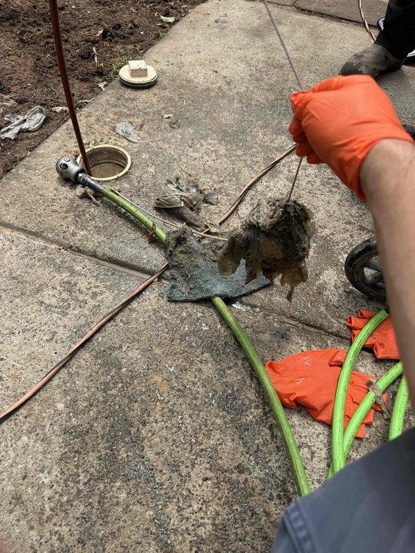 Performed hydro jetting service to clear blocked drainage system. Successfully removed obstruction, including deceased rodent, from drain line using high-pressure water jetting equipment. Verified proper flow restoration and cleared all debris from access point and surrounding work area. Performed hydro jetting service to clear blocked drainage system. Successfully removed obstruction, including deceased rodent, from drain line using high-pressure water jetting equipment. Verified proper flow restoration and cleared all debris from access point and surrounding work area.