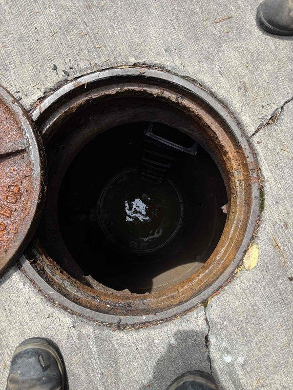 Performed hydro jetting service to clear blocked drainage system. Successfully removed obstruction, including deceased rodent, from drain line using high-pressure water jetting equipment. Verified proper flow restoration and cleared all debris from access point and surrounding work area. Performed hydro jetting service to clear blocked drainage system. Successfully removed obstruction, including deceased rodent, from drain line using high-pressure water jetting equipment. Verified proper flow restoration and cleared all debris from access point and surrounding work area.