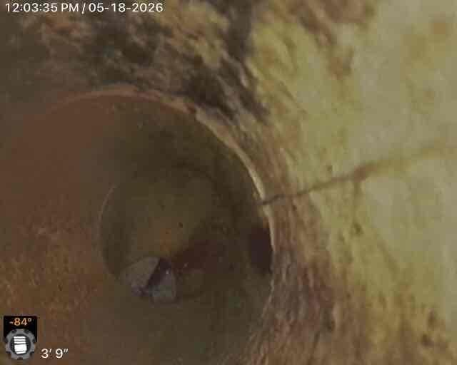 Performed sewer scope inspection of main drain line via cleanout to investigate reported sulphur odor. Camera inspection revealed visible staining and discoloration along pipe walls with debris accumulation at bottom of line, confirming potential source of odor issue.
