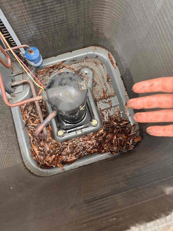 Responded to no cooling complaint for upstairs unit. Upon arrival, discovered condensing unit compressor compartment heavily obstructed with accumulated organic debris including dried leaves and plant material. Removed debris buildup from around compressor and internal components. Inspected refrigerant lines, service ports, and electrical connections for damage. Cleared obstruction to restore proper airflow and component operation. Unit operational following debris removal and system verification.