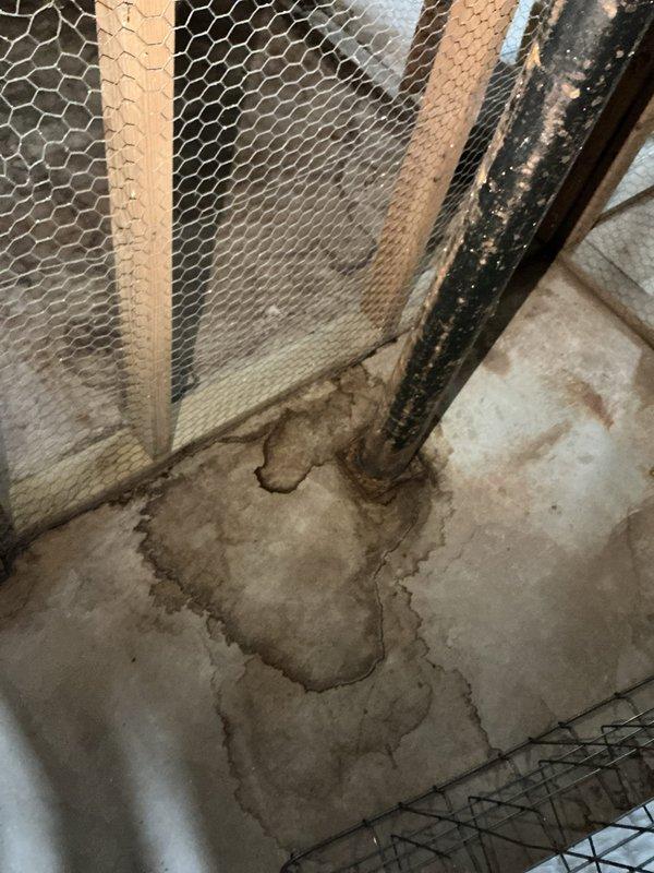 Responded to leak at base of vertical support pole in storage unit. Upon inspection, discovered significant water pooling on concrete floor surrounding corroded metal support beam, with extensive rust deterioration indicating prolonged moisture exposure. Documented water staining patterns and structural condition. Advised customer of findings and recommended follow-up assessment to determine leak source and evaluate structural integrity of support pole.