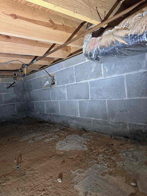 Conducted on-site estimate for installation of customer-supplied toilet, replacement of temperature and pressure relief valve on Rinnai tankless water heater (Model RUR199iN), and whole house water filtration system. Inspected existing tankless unit mounted in basement utility area, documented current installation specifications including 199,000 BTU/H maximum input rating and natural gas configuration, and assessed accessibility for T&P valve replacement. Evaluated basement plumbing infrastructure and available space for whole house filter installation near main water supply line. Photographed equipment specifications and work area conditions to provide accurate material and labor estimates for all requested installations.