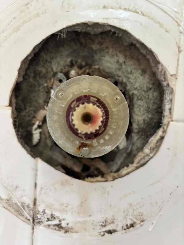 Responded to emergency leak call originating from bathtub area penetrating through ceiling. Upon arrival, assisted customer with locating and operating water shut-off valve to stop active leak. Inspected master bathroom toilet which exhibited continuous running condition after flush cycle, indicating internal flush valve failure. Documented existing conditions of shower valve assembly and tub spout installation for repair recommendations.