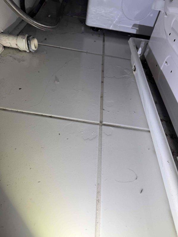 # Washing Machine Leak Repair

Responded to reported leak at washing machine location. Upon arrival, inspected the area and identified water damage on tile flooring near appliance. Examined flexible stainless steel braided supply lines and PVC drain connections for signs of failure or loose fittings. 

Documented existing conditions showing water infiltration along baseboards and floor-wall junction with visible moisture accumulation and debris. Assessed appliance connections including supply hoses and drain line routing. Photographed affected areas showing tile flooring, plumbing connections, and equipment mounting to establish scope of leak damage.

Verified all supply line connections were properly secured and inspected for wear or deterioration. Confirmed drain system integrity and proper installation of washing machine components. Area required cleaning and monitoring for additional moisture issues following repair completion.