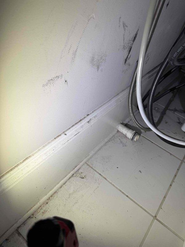 # Washing Machine Leak Repair

Responded to reported leak at washing machine location. Upon arrival, inspected the area and identified water damage on tile flooring near appliance. Examined flexible stainless steel braided supply lines and PVC drain connections for signs of failure or loose fittings. 

Documented existing conditions showing water infiltration along baseboards and floor-wall junction with visible moisture accumulation and debris. Assessed appliance connections including supply hoses and drain line routing. Photographed affected areas showing tile flooring, plumbing connections, and equipment mounting to establish scope of leak damage.

Verified all supply line connections were properly secured and inspected for wear or deterioration. Confirmed drain system integrity and proper installation of washing machine components. Area required cleaning and monitoring for additional moisture issues following repair completion.