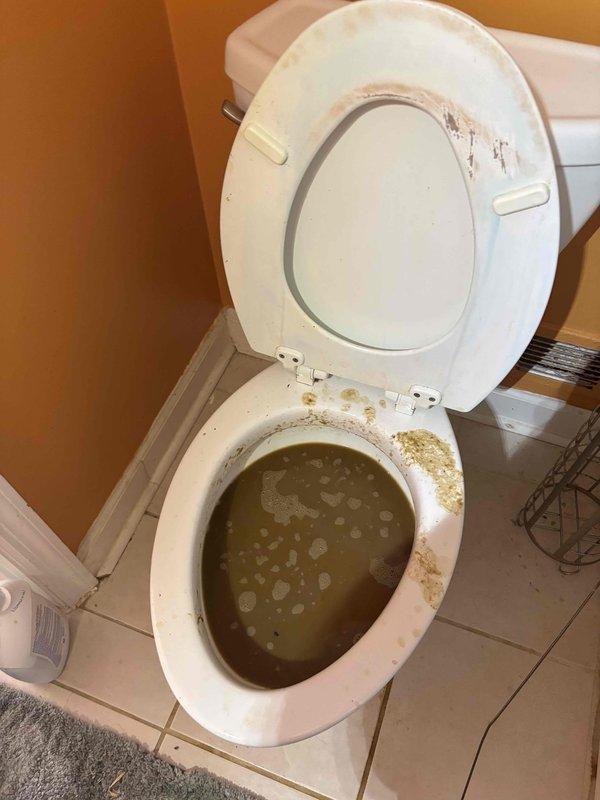 Responded to basement toilet backup. Upon arrival, found toilet bowl containing contaminated water with visible debris and significant staining around the seat and rim indicating drainage issues. Assessed plumbing system and located source of blockage. Cleared obstruction from drain line using appropriate equipment, restoring proper flow and drainage function. Tested toilet operation to confirm complete resolution of backup issue.