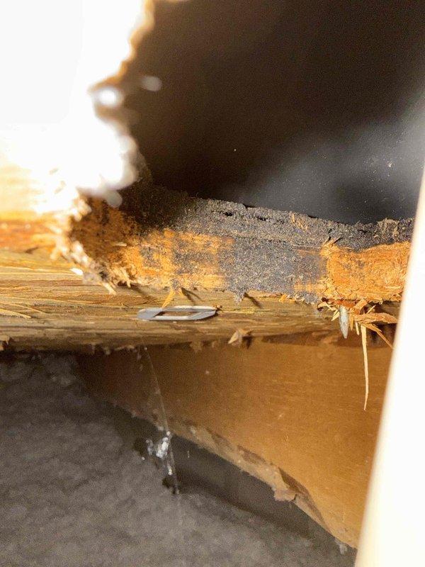 Responded to report of wet spot below bathroom and laundry room. Conducted thorough inspection of attic space above affected areas to identify source of moisture intrusion. Located evidence of active water damage on wooden structural support beam, exhibiting significant moisture saturation, discoloration, and deterioration consistent with prolonged water exposure. Observed orange-brown rot pattern with compromised wood fibers and dark moisture staining on upper section of support member. 

Traced leak source by examining plumbing lines, HVAC components, and building envelope in vicinity of damaged structural element. Inspected flexible aluminum HVAC ductwork in attic space, noting exterior foil wrap damage and separation in multiple locations. Assessed insulation conditions surrounding affected area and documented extent of moisture penetration. 

Photographed damaged structural beam showing active deterioration and water intrusion evidence. Documented HVAC ductwork condition and surro