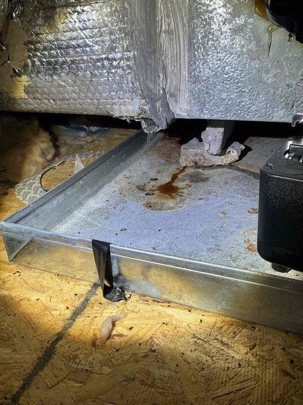 Conducted comprehensive HVAC system assessment in attic space for new homeowner seeking equipment upgrade estimates. Inspected existing air handler unit, ductwork configuration, and condensate drainage system. Documented current system conditions including metal drain pan showing rust staining and water discoloration indicative of moisture accumulation, reflective insulated ductwork with visible material separation, black condensate pump component, and air handler with pleated filter. Noted flexible black ductwork runs, metallic supply ducting, and pink fiberglass insulation between rafters. Provided detailed photographic documentation of all equipment and components for future replacement planning. Conducted comprehensive HVAC system assessment in attic space for new homeowner seeking equipment upgrade estimates. Inspected existing air handler unit, ductwork configuration, and condensate drainage system. Documented current system conditions including metal drain pan showing rust staining and water discoloration indicative of moisture accumulation, reflective insulated ductwork with visible material separation, black condensate pump component, and air handler with pleated filter. Noted flexible black ductwork runs, metallic supply ducting, and pink fiberglass insulation between rafters. Provided detailed photographic documentation of all equipment and components for future replacement planning.