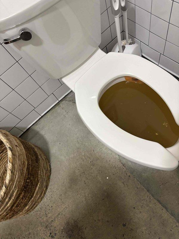 Responded to service call for clogged toilet with standing water backup. Upon arrival, found toilet bowl filled with discolored water and unable to drain properly. Successfully cleared obstruction using appropriate drain cleaning equipment, restored proper flush function, and verified complete drainage. Toilet returned to normal operation with no further backup issues observed. Responded to service call for clogged toilet with standing water backup. Upon arrival, found toilet bowl filled with discolored water and unable to drain properly. Successfully cleared obstruction using appropriate drain cleaning equipment, restored proper flush function, and verified complete drainage. Toilet returned to normal operation with no further backup issues observed.