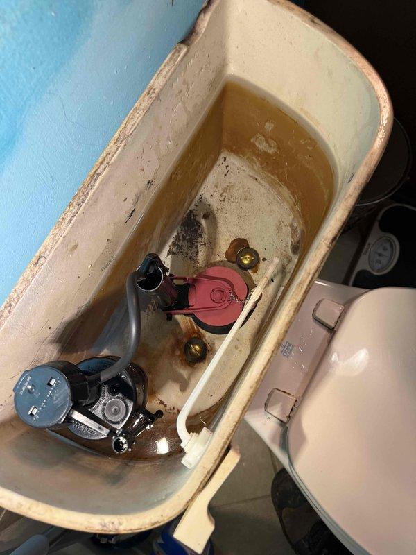 Responded to toilet leak complaint and performed diagnostic inspection of tank components and associated plumbing systems. Upon examination, identified significant mineral buildup and hard water deposits throughout tank interior, indicating chronic water quality issues affecting mechanical operation. Inspected flush valve assembly, flapper mechanism, and float valve system for proper function and seal integrity. Documented condition of tank interior showing extensive staining along waterline and corrosion on brass mounting hardware. Investigated secondary plumbing access panel revealing auxiliary pump mechanism with evidence of water accumulation and sediment buildup in compartment. Assessed thermostatic control valve and associated connections for leaks or failures contributing to reported issue. Captured photographic documentation of both toilet tank interior and pump compartment to support findings and establish baseline condition for future reference. Responded to toilet leak complaint and performed diagnostic inspection of tank components and associated plumbing systems. Upon examination, identified significant mineral buildup and hard water deposits throughout tank interior, indicating chronic water quality issues affecting mechanical operation. Inspected flush valve assembly, flapper mechanism, and float valve system for proper function and seal integrity. Documented condition of tank interior showing extensive staining along waterline and corrosion on brass mounting hardware. Investigated secondary plumbing access panel revealing auxiliary pump mechanism with evidence of water accumulation and sediment buildup in compartment. Assessed thermostatic control valve and associated connections for leaks or failures contributing to reported issue. Captured photographic documentation of both toilet tank interior and pump compartment to support findings and establish baseline condition for future reference.