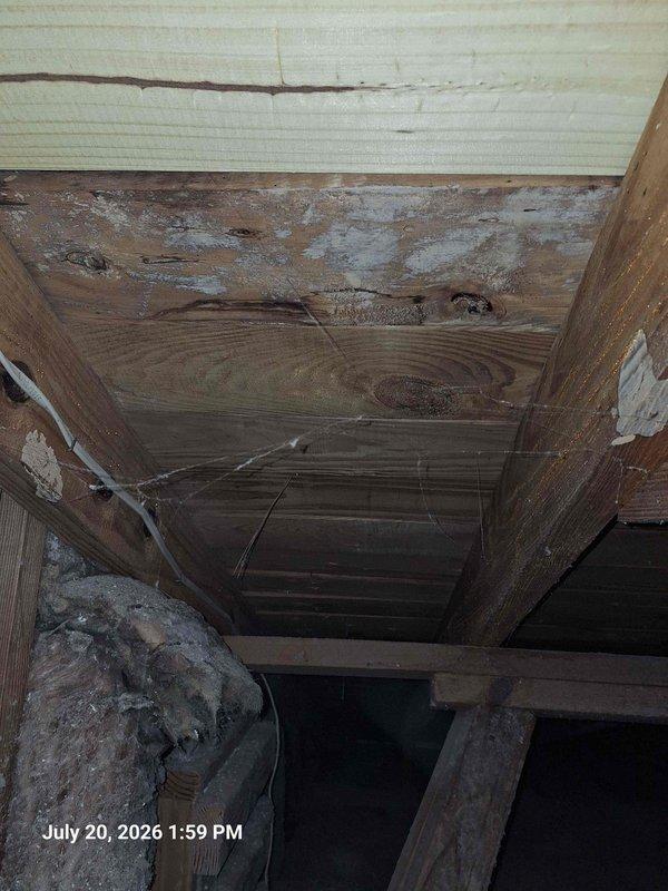 Responded to ceiling leak in split-level residence with no identifiable HVAC or plumbing fixtures directly above affected area. Accessed attic space and documented structural framing, ceiling joists, and surrounding areas. Inspection revealed visible water staining and discoloration on multiple wooden beams, with grayish-white residue present on horizontal framing members indicating moisture intrusion. Located compromised ceiling panel between joists showing significant water damage, staining, and circular penetration point. Documented gaps in framing where insulation material was protruding, suggesting potential entry points for water infiltration. Photographed evidence of deterioration and moisture patterns for further evaluation of leak source and necessary repairs. Responded to ceiling leak in split-level residence with no identifiable HVAC or plumbing fixtures directly above affected area. Accessed attic space and documented structural framing, ceiling joists, and surrounding areas. Inspection revealed visible water staining and discoloration on multiple wooden beams, with grayish-white residue present on horizontal framing members indicating moisture intrusion. Located compromised ceiling panel between joists showing significant water damage, staining, and circular penetration point. Documented gaps in framing where insulation material was protruding, suggesting potential entry points for water infiltration. Photographed evidence of deterioration and moisture patterns for further evaluation of leak source and necessary repairs.