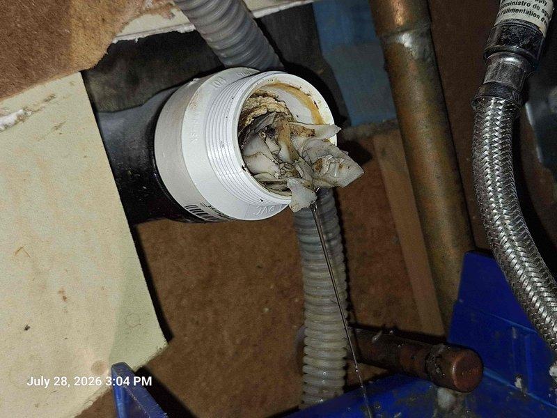 Responded to clogged kitchen sink with complete drainage failure affecting both the sink and dishwasher discharge. Upon inspection, identified severely corroded and mineral-encrusted PVC tailpiece fitting beneath the sink causing the blockage. Removed the deteriorated fitting, which showed significant brownish-yellow buildup and water damage staining. Cleared the drain line, replaced the damaged PVC component with new fitting, and verified proper drainage from both the sink and garbage disposal unit. System restored to full operational capacity. Responded to clogged kitchen sink with complete drainage failure affecting both the sink and dishwasher discharge. Upon inspection, identified severely corroded and mineral-encrusted PVC tailpiece fitting beneath the sink causing the blockage. Removed the deteriorated fitting, which showed significant brownish-yellow buildup and water damage staining. Cleared the drain line, replaced the damaged PVC component with new fitting, and verified proper drainage from both the sink and garbage disposal unit. System restored to full operational capacity.