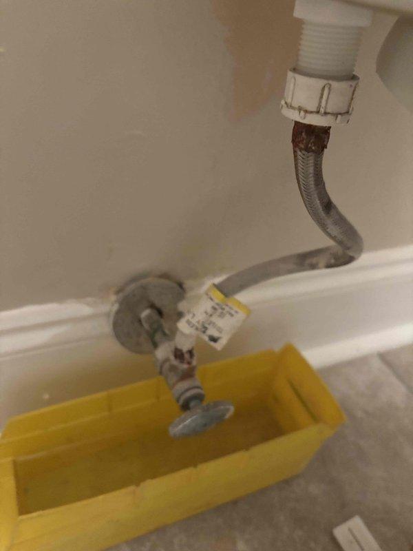Provided estimate for toilet flange replacement and installation of shut-off valve. Inspected existing plumbing conditions including under-sink supply lines with current shut-off valve and main water supply system with sediment trap and multiple shut-off points. Documented corroded copper piping and oxidized fixtures throughout the plumbing assembly for comprehensive assessment of scope of work. Provided estimate for toilet flange replacement and installation of shut-off valve. Inspected existing plumbing conditions including under-sink supply lines with current shut-off valve and main water supply system with sediment trap and multiple shut-off points. Documented corroded copper piping and oxidized fixtures throughout the plumbing assembly for comprehensive assessment of scope of work.
