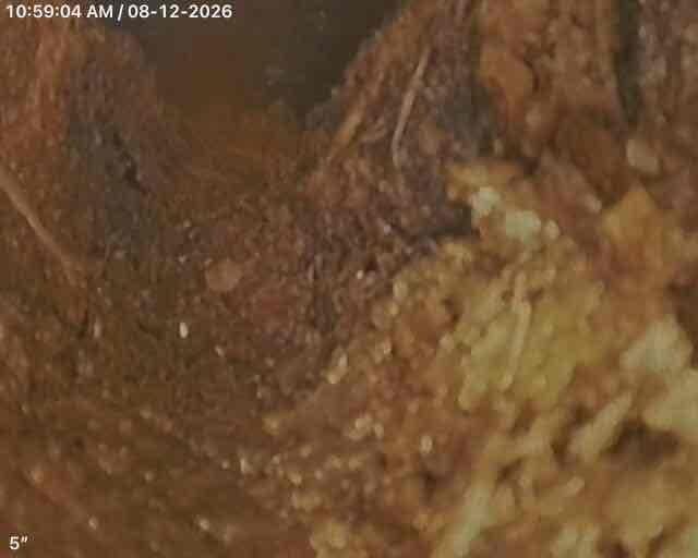 Performed sewer scope inspection through crawlspace cleanout accessing ABS piping system. Camera inspection confirmed presence of cast iron piping with visible root intrusions as previously noted by another inspection company. Based on findings, provided options for both hydro-jetting service to address root intrusions and full sewer line replacement, with jetting recommended as viable solution for extended system functionality. Performed sewer scope inspection through crawlspace cleanout accessing ABS piping system. Camera inspection confirmed presence of cast iron piping with visible root intrusions as previously noted by another inspection company. Based on findings, provided options for both hydro-jetting service to address root intrusions and full sewer line replacement, with jetting recommended as viable solution for extended system functionality.
