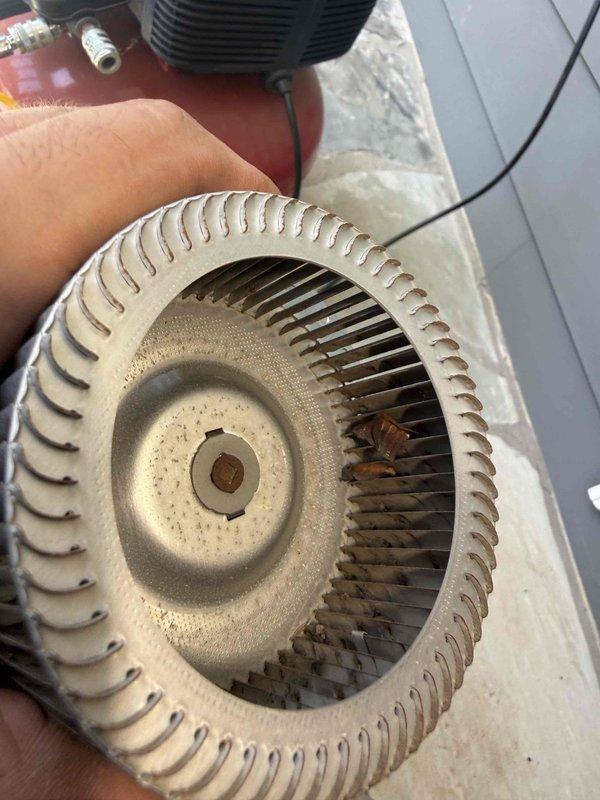 Responded to no hot water complaint on Rinnai tankless water heater displaying error code 11. Upon inspection, identified significant debris accumulation in the blower assembly that was restricting proper airflow and preventing unit operation. Disassembled unit, removed and cleaned the squirrel cage blower wheel which had substantial dust and dirt buildup between blades, serviced all electrical connections and wiring harnesses, and reassembled system. Unit tested successfully with error code cleared and hot water restored to normal operation. Responded to no hot water complaint on Rinnai tankless water heater displaying error code 11. Upon inspection, identified significant debris accumulation in the blower assembly that was restricting proper airflow and preventing unit operation. Disassembled unit, removed and cleaned the squirrel cage blower wheel which had substantial dust and dirt buildup between blades, serviced all electrical connections and wiring harnesses, and reassembled system. Unit tested successfully with error code cleared and hot water restored to normal operation.
