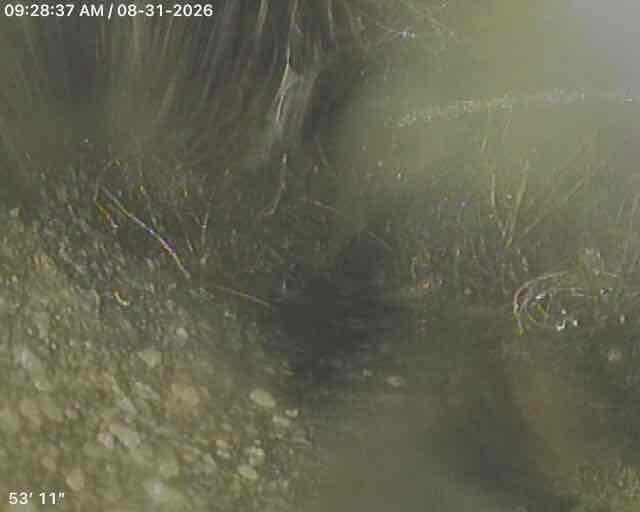 Responded to a recurring sewer line blockage between the exterior cleanout and the street connection. Upon arrival, customer reported water backing up into the lower level bathtub and toilet when draining the upper level tub. Performed video camera inspection of the main sewer line, advancing the camera approximately 54 feet from the cleanout toward the street to locate the obstruction. Camera footage revealed significant debris accumulation and buildup within the line at the documented distance, confirming the blockage location in the same section of pipe as the previous service call. Responded to a recurring sewer line blockage between the exterior cleanout and the street connection. Upon arrival, customer reported water backing up into the lower level bathtub and toilet when draining the upper level tub. Performed video camera inspection of the main sewer line, advancing the camera approximately 54 feet from the cleanout toward the street to locate the obstruction. Camera footage revealed significant debris accumulation and buildup within the line at the documented distance, confirming the blockage location in the same section of pipe as the previous service call.