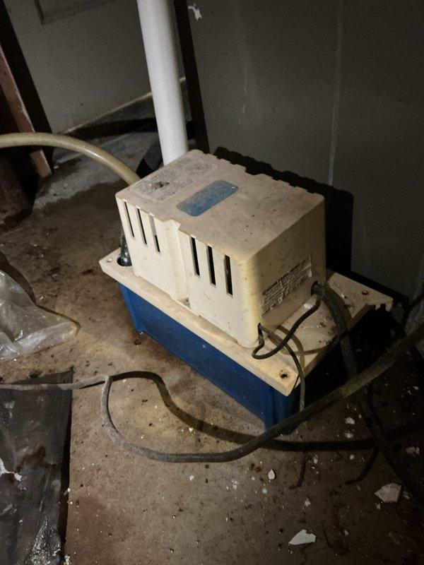 Responded to report of water pooling in basement near sump pump and sewage ejection system. Upon inspection, identified condensate pump as the source of the leak and unusual noise. The pump's reservoir showed signs of malfunction, causing clear water to overflow onto the concrete floor. Inspected the discharge piping, electrical connections, and pump switch to diagnose the issue. Documented the condition of the condensate pump unit and its electrical components for repair recommendations. Responded to report of water pooling in basement near sump pump and sewage ejection system. Upon inspection, identified condensate pump as the source of the leak and unusual noise. The pump's reservoir showed signs of malfunction, causing clear water to overflow onto the concrete floor. Inspected the discharge piping, electrical connections, and pump switch to diagnose the issue. Documented the condition of the condensate pump unit and its electrical components for repair recommendations.