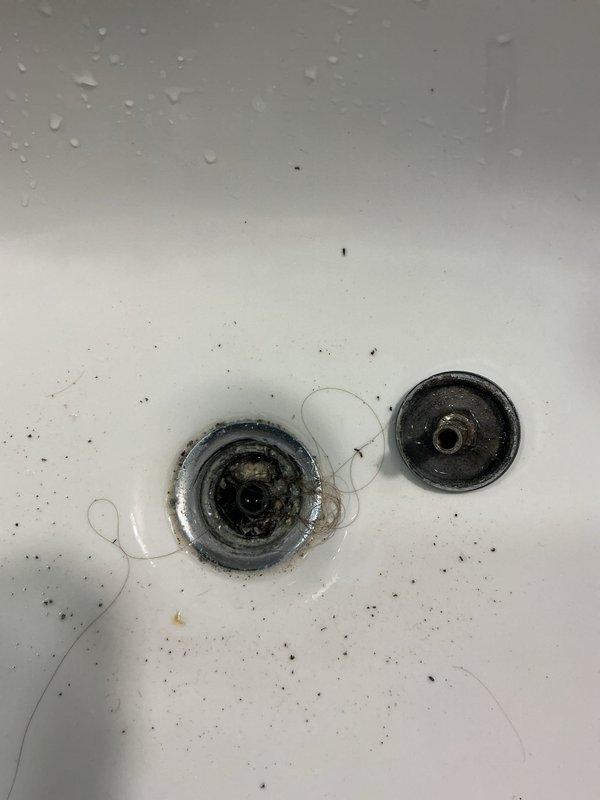 Responded to slow drainage issue affecting two second-floor sinks. Inspected bathroom vanity sink with undermount basin and chrome fixtures, as well as bathtub drain assembly where hardware was lodged in the drain mechanism. Removed obstructed drain components, cleared accumulated debris and hair buildup from both fixtures, and restored proper drainage flow to both locations. Responded to slow drainage issue affecting two second-floor sinks. Inspected bathroom vanity sink with undermount basin and chrome fixtures, as well as bathtub drain assembly where hardware was lodged in the drain mechanism. Removed obstructed drain components, cleared accumulated debris and hair buildup from both fixtures, and restored proper drainage flow to both locations.