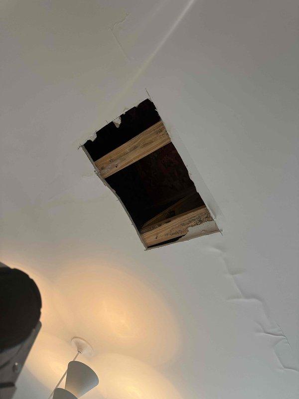 Responded to leak investigation following shower replacement by remediation company. Accessed ceiling cavity to inspect drain-side plumbing connections and identified source of water intrusion. Created access point in ceiling to examine joists and plumbing infrastructure, documented conditions with photos showing shower area with newly installed fixtures and hexagonal tile flooring, and assessed drainage system integrity to determine cause of ceiling leak. Responded to leak investigation following shower replacement by remediation company. Accessed ceiling cavity to inspect drain-side plumbing connections and identified source of water intrusion. Created access point in ceiling to examine joists and plumbing infrastructure, documented conditions with photos showing shower area with newly installed fixtures and hexagonal tile flooring, and assessed drainage system integrity to determine cause of ceiling leak.