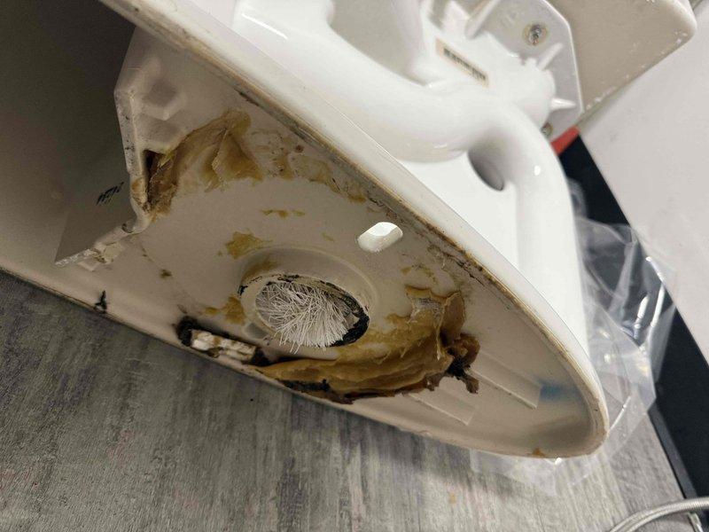 Responded to service call for clogged toilet. Upon inspection, discovered the fixture was actually a household appliance with severe drainage blockage caused by extensive buildup of organic matter, mineral deposits, and mold growth within the drain opening and surrounding areas. Removed accumulated debris and fibrous material from the circular drainage port, cleaned contaminated surfaces showing yellowish-brown staining, and addressed fungal growth present in the drainage system. Restored proper drainage function to the unit. Responded to service call for clogged toilet. Upon inspection, discovered the fixture was actually a household appliance with severe drainage blockage caused by extensive buildup of organic matter, mineral deposits, and mold growth within the drain opening and surrounding areas. Removed accumulated debris and fibrous material from the circular drainage port, cleaned contaminated surfaces showing yellowish-brown staining, and addressed fungal growth present in the drainage system. Restored proper drainage function to the unit.