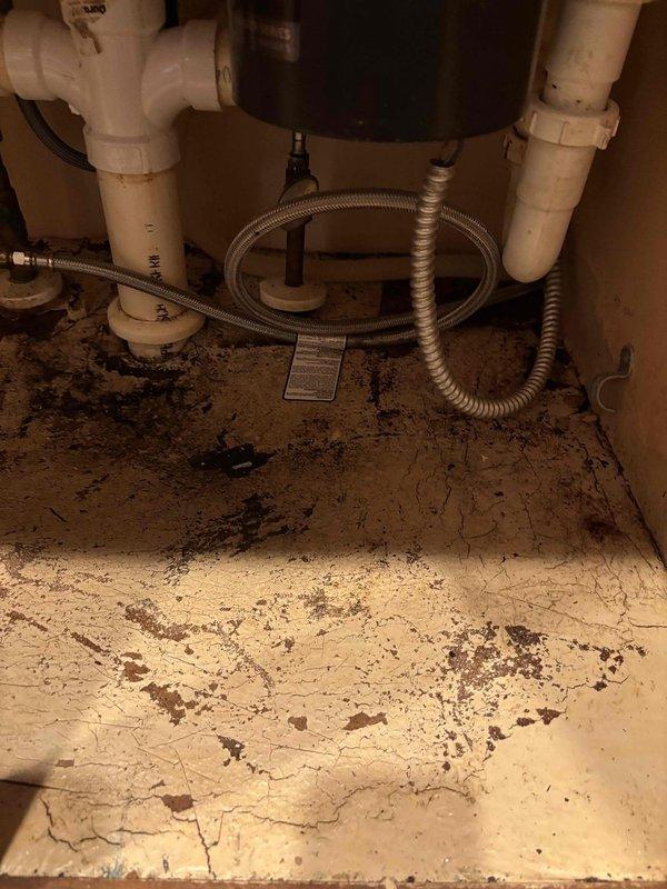 Responded to customer report of garbage disposal leak causing water damage to basement ceiling. Upon inspection, discovered significant water damage to cabinet flooring beneath kitchen sink, with extensive cracking, staining, and deterioration of substrate material indicating prolonged moisture exposure. Assessed plumbing connections including water heater supply lines, pressure reducing valve, and main water supply piping with shut-off valve. Documented condition of all visible plumbing components and water-damaged areas for repair recommendations. Responded to customer report of garbage disposal leak causing water damage to basement ceiling. Upon inspection, discovered significant water damage to cabinet flooring beneath kitchen sink, with extensive cracking, staining, and deterioration of substrate material indicating prolonged moisture exposure. Assessed plumbing connections including water heater supply lines, pressure reducing valve, and main water supply piping with shut-off valve. Documented condition of all visible plumbing components and water-damaged areas for repair recommendations.