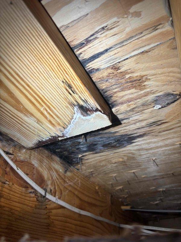 Responded to report of water leak from bathtub penetrating ceiling below. Conducted visual inspection of affected area, accessing ceiling joists and structural framing to assess moisture damage. Documented extensive water staining and discoloration on wooden structural members, indicating active or recent water intrusion. Photographed evidence of moisture damage to ceiling framing for record. Additionally inspected lower bathroom sink for reported slow drainage issue. Responded to report of water leak from bathtub penetrating ceiling below. Conducted visual inspection of affected area, accessing ceiling joists and structural framing to assess moisture damage. Documented extensive water staining and discoloration on wooden structural members, indicating active or recent water intrusion. Photographed evidence of moisture damage to ceiling framing for record. Additionally inspected lower bathroom sink for reported slow drainage issue.